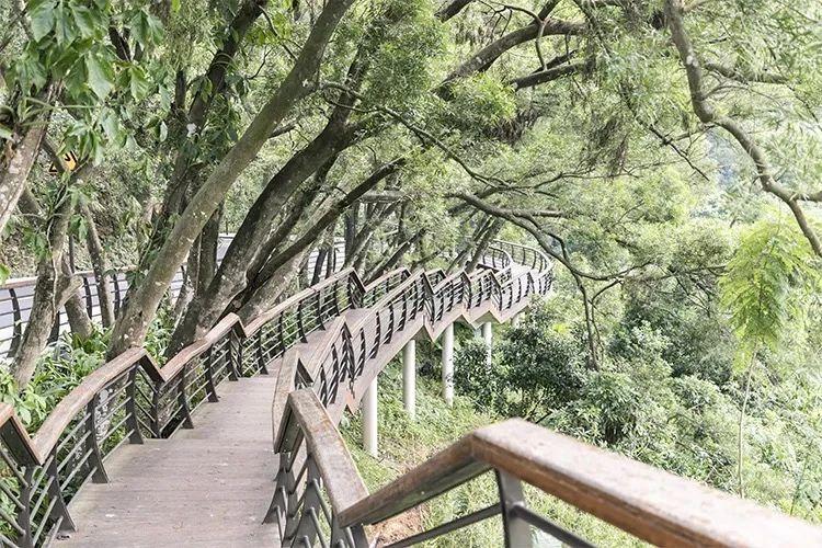 Origin最新版，轻松探索自然美景的旅程