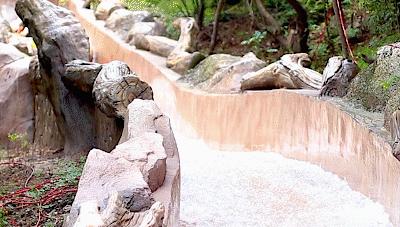 最新开码，自然美景之旅，探寻内心平和与喜悦的旅程