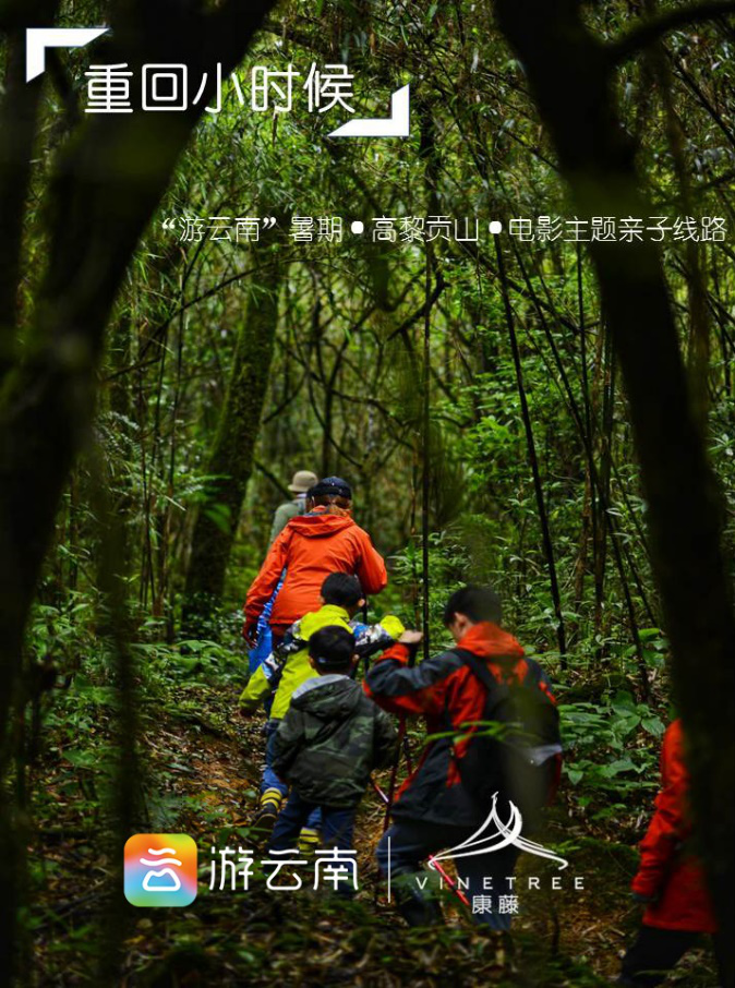 和平营地最新版下载，探索自然美景，寻找内心平和之旅