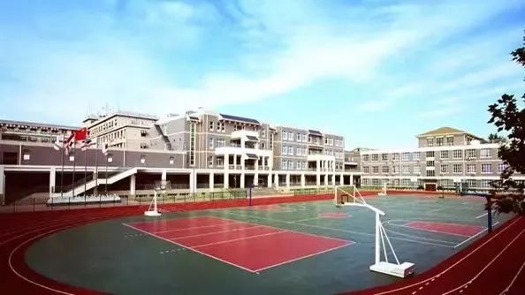 最新爸爸拥抱学习变化，自信育儿成就未来