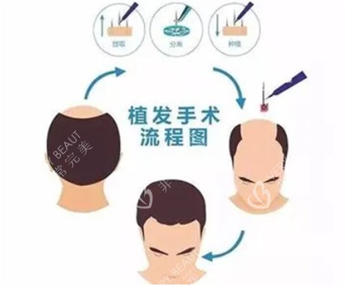 商品车运输 第296页