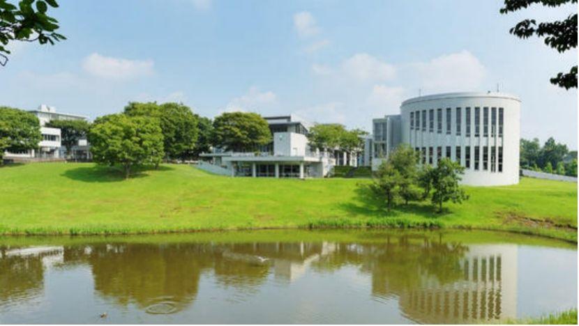 青岛金日达 第291页