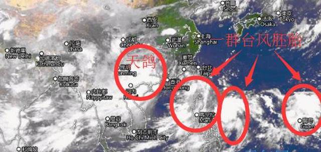 青岛物流公司 第262页