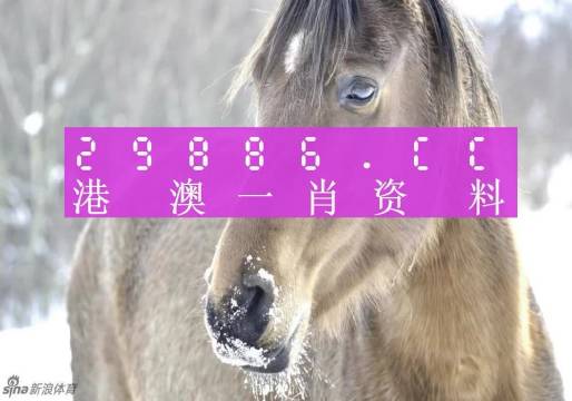 运输服务 第193页